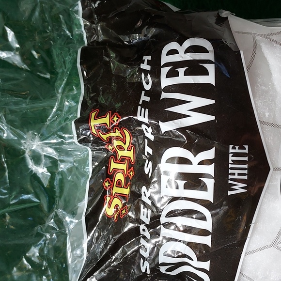 Spider web decoration - Picture 5 of 5